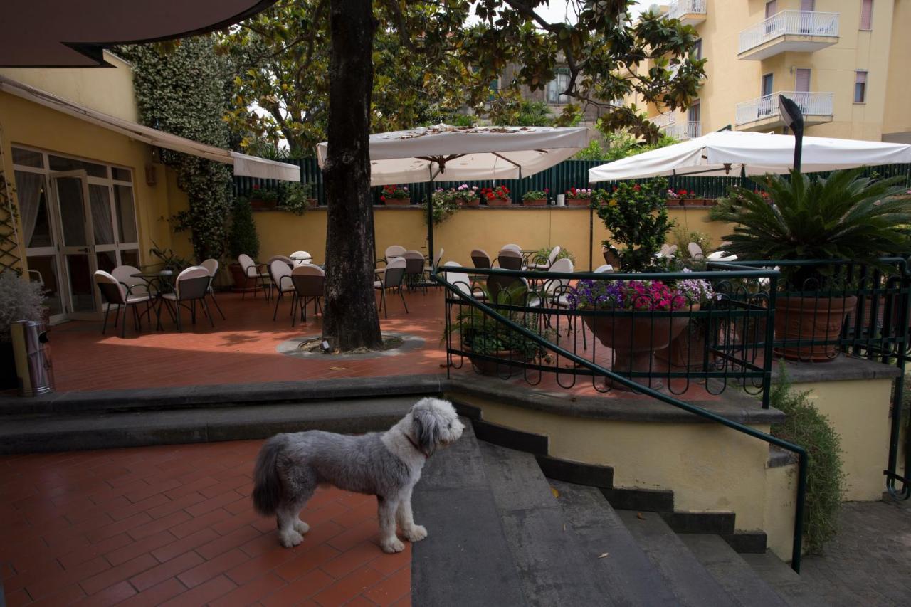 Hotel Villa Serena 카스텔라마레디스타비아 외부 사진
